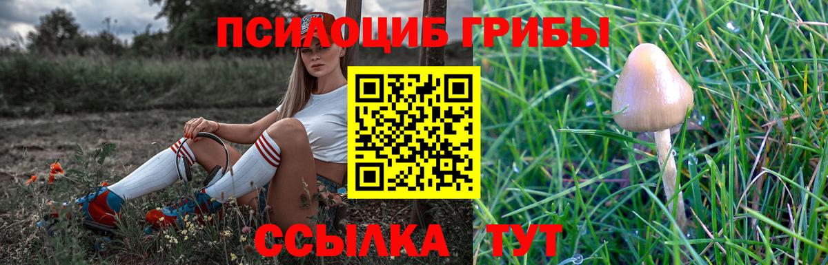 Минеральные Воды  Галлюциногенные грибы MAGIC MUSHROOMS  Вход с VPN 