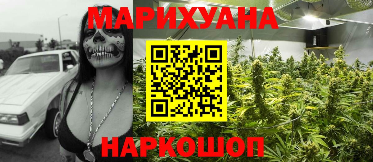 Канабис сатива  Вход с VPN  Бошки марихуана ГИДРОПОН  Каннабис планчик  Минеральные Воды 